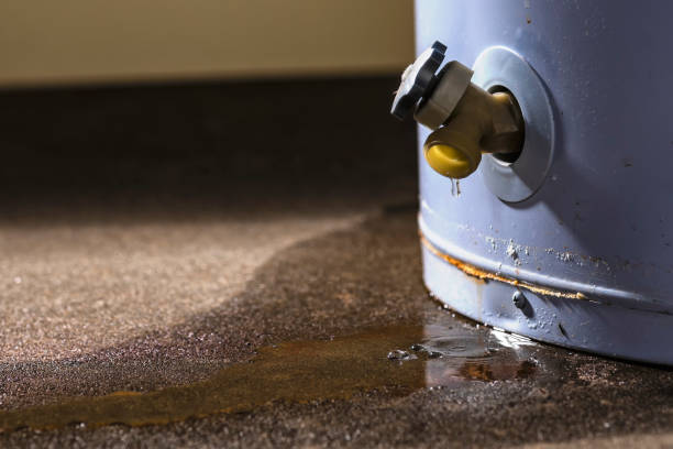 Best Water damage restoration near me  in Cosmopolis, WA