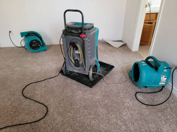 Best Commercial water damage restoration  in Cosmopolis, WA