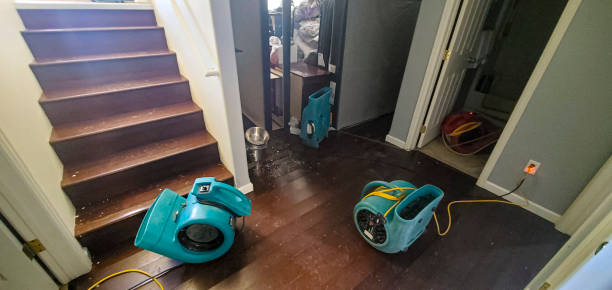 Best Residential water damage restoration  in Cosmopolis, WA