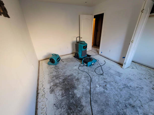 Best Water damage restoration specialists  in Cosmopolis, WA