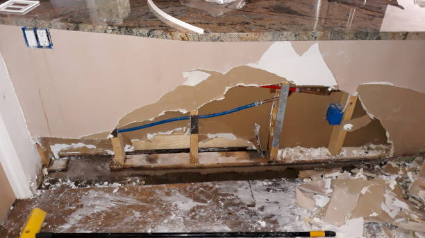 Best Professional water damage repair  in Cosmopolis, WA