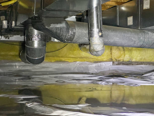 Best 24/7 water damage repair  in Cosmopolis, WA