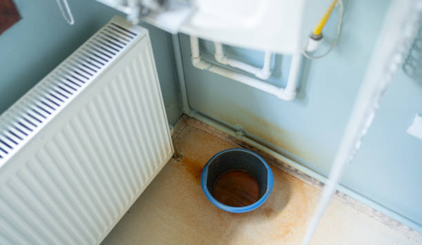 Best Water damage repair service  in Cosmopolis, WA